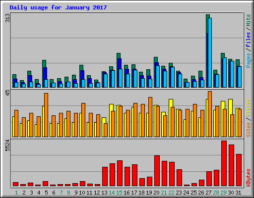 Daily usage for January 2017