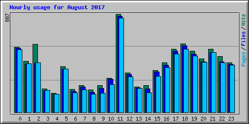 Hourly usage for August 2017