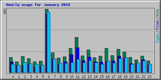 Hourly usage for January 2019